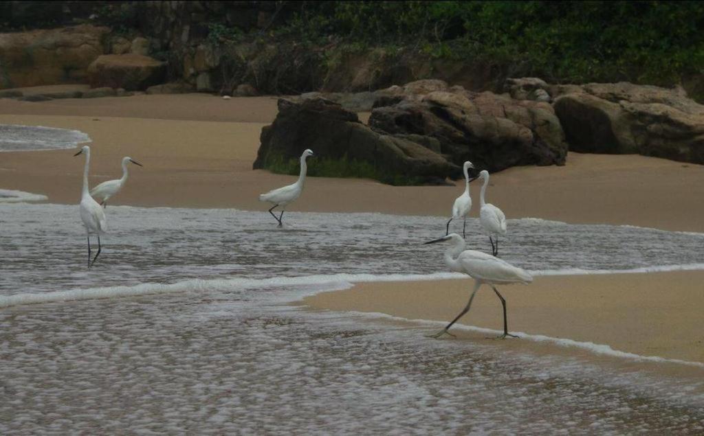 Karikkathi Beach House Thiruvananthapuram Eksteriør bilde